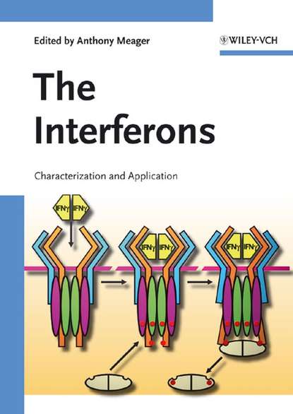 Скачать книгу The Interferons