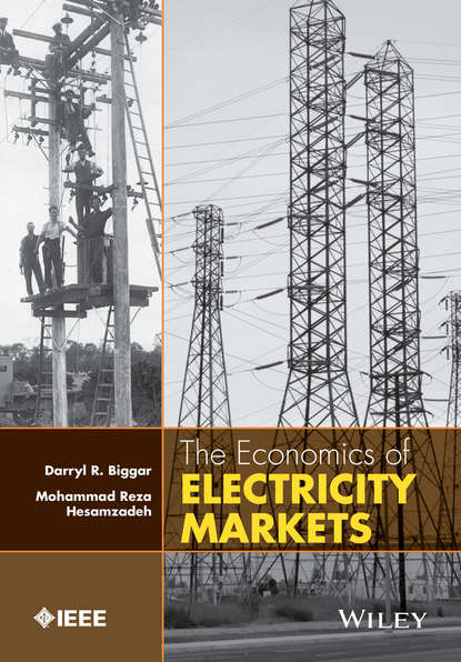 Скачать книгу The Economics of Electricity Markets