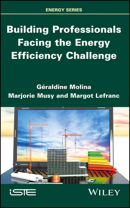 Скачать книгу Building Professionals Facing the Energy Efficiency Challenge