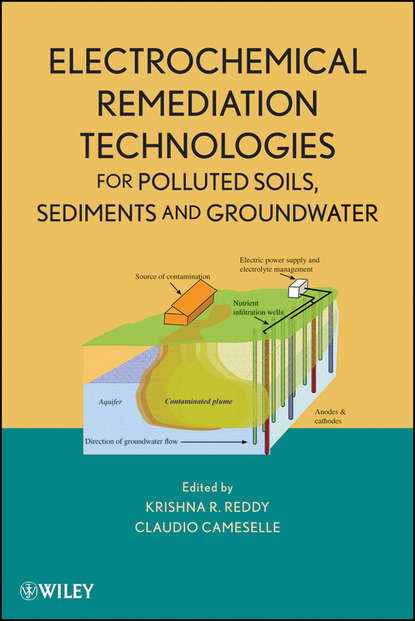 Скачать книгу Electrochemical Remediation Technologies for Polluted Soils, Sediments and Groundwater