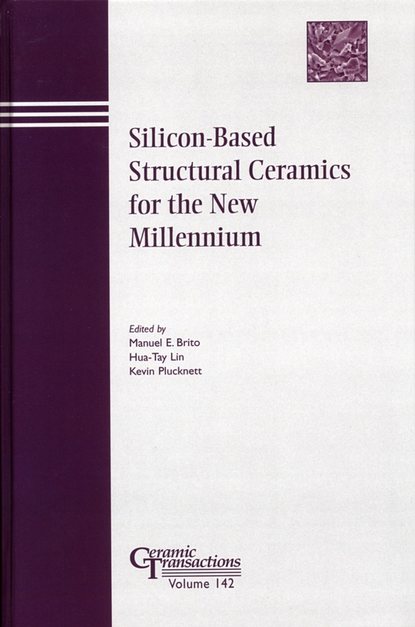 Скачать книгу Silicon-Based Structural Ceramics for the New Millennium