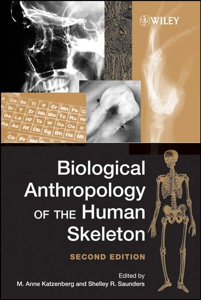 Скачать книгу Biological Anthropology of the Human Skeleton