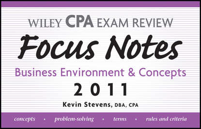 Скачать книгу Wiley CPA Examination Review Focus Notes