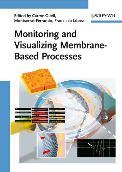 Скачать книгу Monitoring and Visualizing Membrane-Based Processes