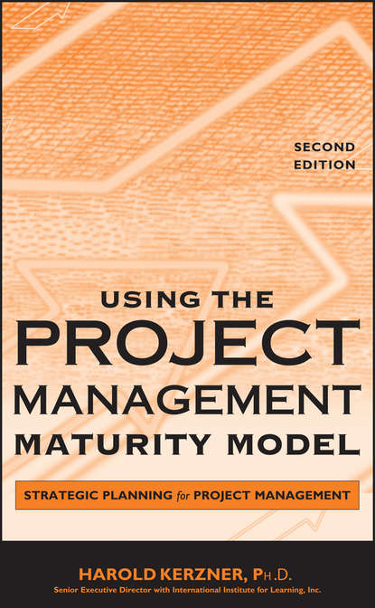 Скачать книгу Using the Project Management Maturity Model