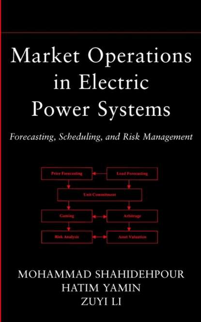 Скачать книгу Market Operations in Electric Power Systems