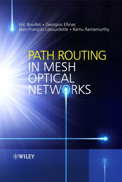 Скачать книгу Path Routing in Mesh Optical Networks