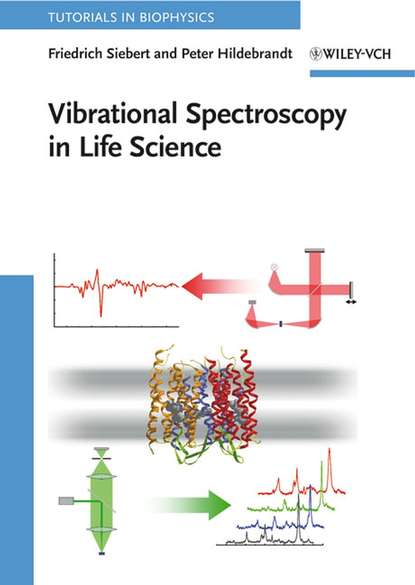 Скачать книгу Vibrational Spectroscopy in Life Science