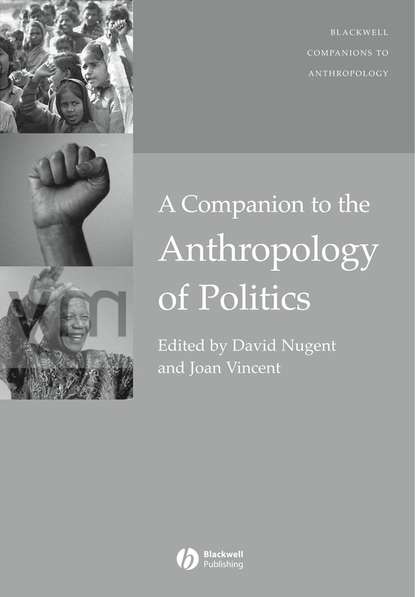 Скачать книгу A Companion to the Anthropology of Politics