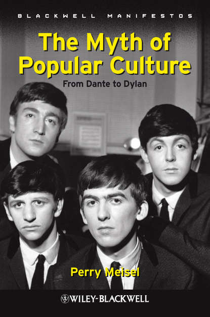 Скачать книгу The Myth of Popular Culture