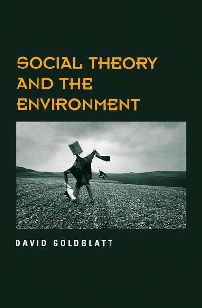 Скачать книгу Social Theory and the Environment