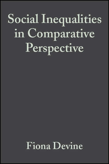 Скачать книгу Social Inequalities in Comparative Perspective