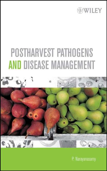 Скачать книгу Postharvest Pathogens and Disease Management