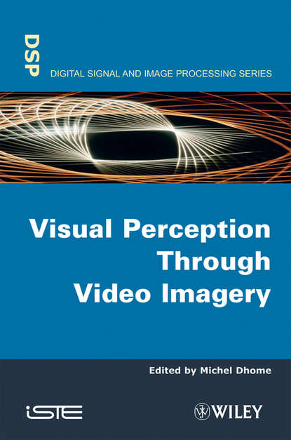Скачать книгу Visual Perception Through Video Imagery