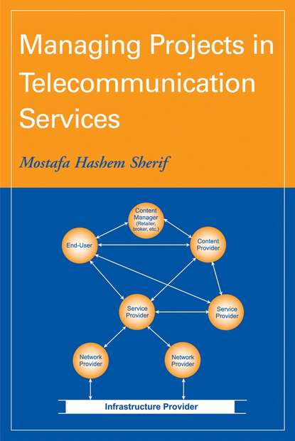 Скачать книгу Managing Projects in Telecommunication Services