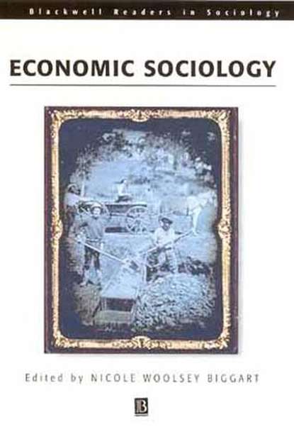 Скачать книгу Readings in Economic Sociology