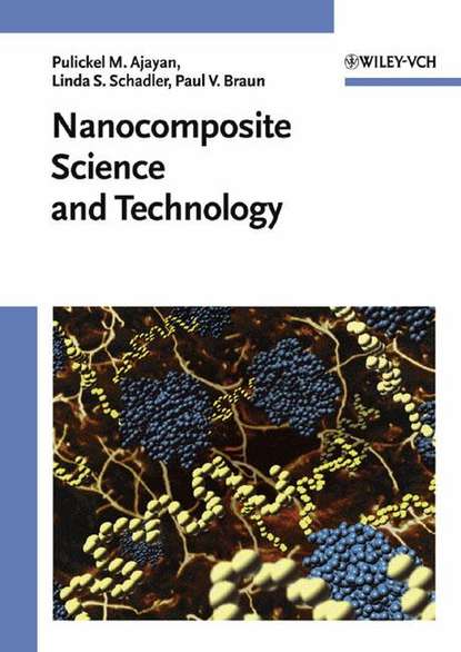 Скачать книгу Nanocomposite Science and Technology