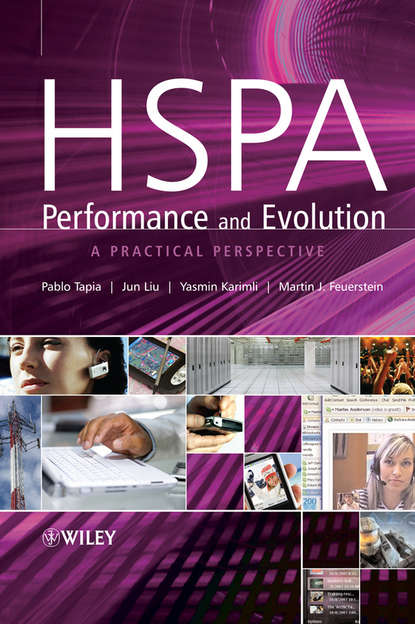 Скачать книгу HSPA Performance and Evolution