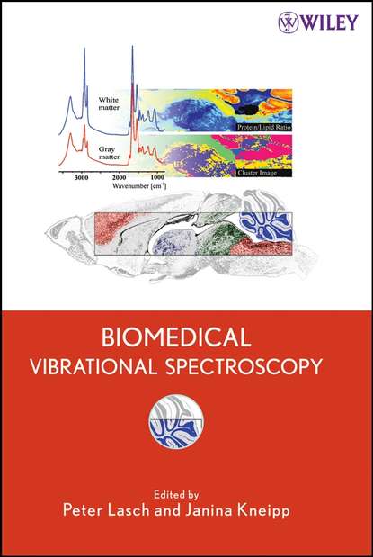 Скачать книгу Biomedical Vibrational Spectroscopy