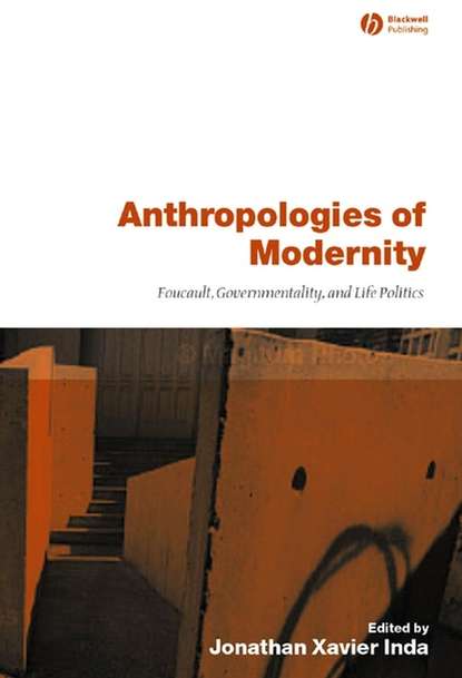 Скачать книгу Anthropologies of Modernity