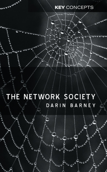 Скачать книгу The Network Society