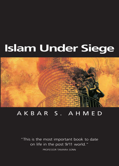 Скачать книгу Islam Under Siege
