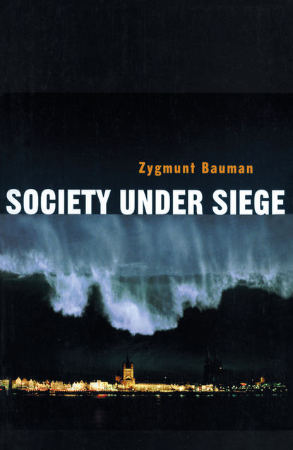 Скачать книгу Society under Siege