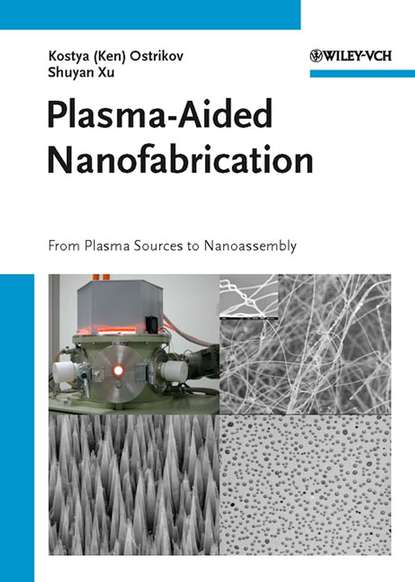 Скачать книгу Plasma-Aided Nanofabrication