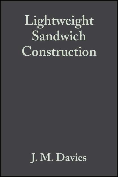 Скачать книгу Lightweight Sandwich Construction