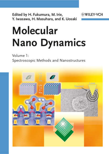 Скачать книгу Molecular Nano Dynamics