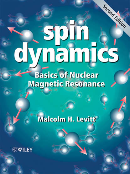 Скачать книгу Spin Dynamics