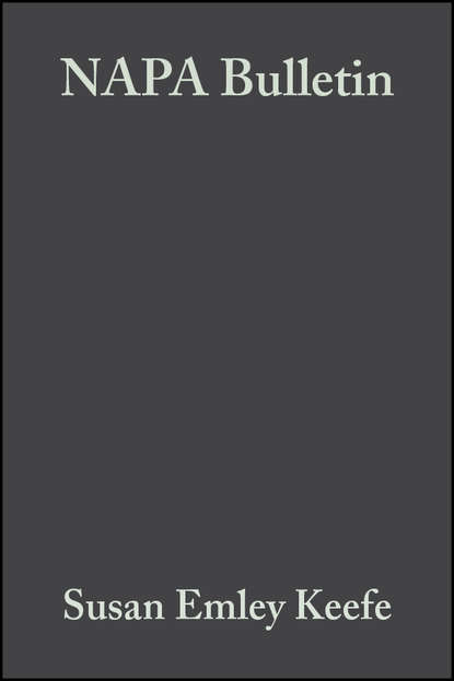 Скачать книгу Negotiating Ethnicity