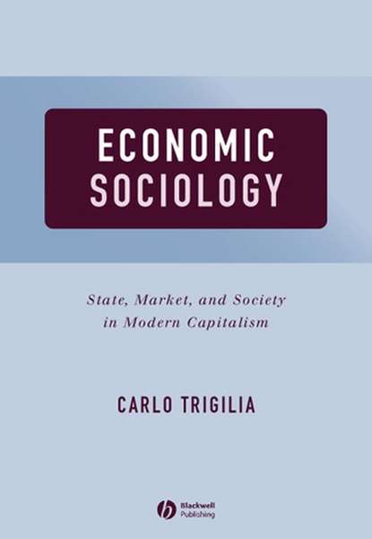 Скачать книгу Economic Sociology