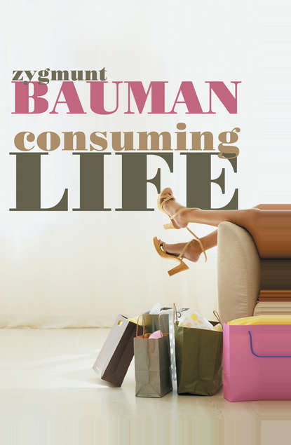 Скачать книгу Consuming Life