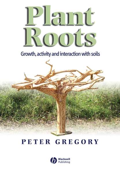 Скачать книгу Plant Roots