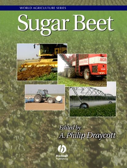 Скачать книгу Sugar Beet