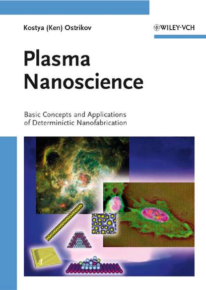 Скачать книгу Plasma Nanoscience
