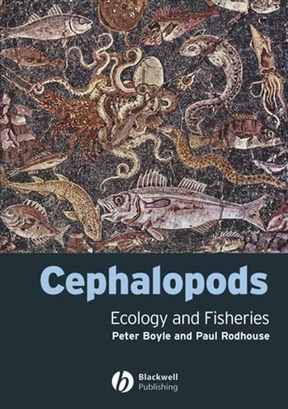 Скачать книгу Cephalopods