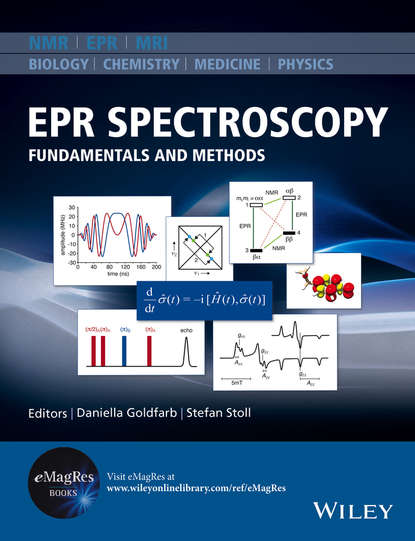 Скачать книгу EPR Spectroscopy
