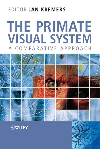 Скачать книгу The Primate Visual System