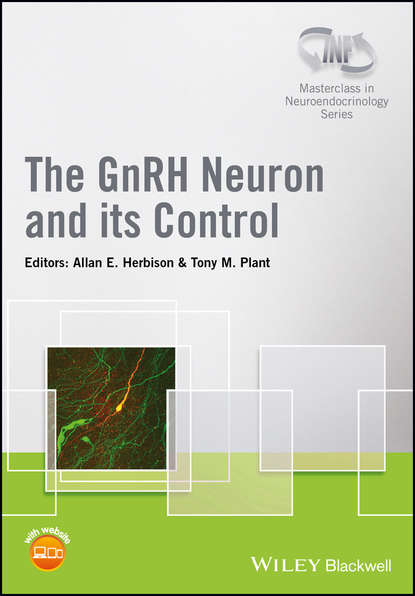 Скачать книгу The GnRH Neuron and its Control