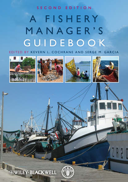 Скачать книгу A Fishery Manager's Guidebook
