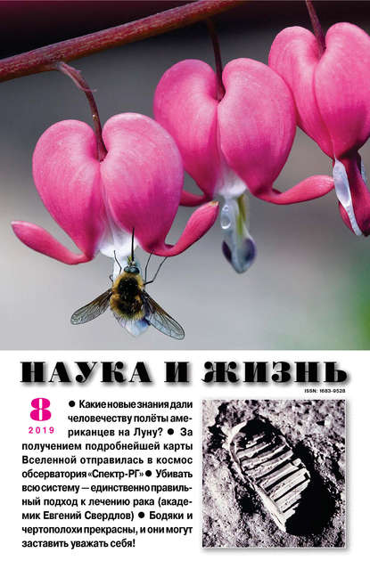 Скачать книгу Наука и жизнь №08/2019