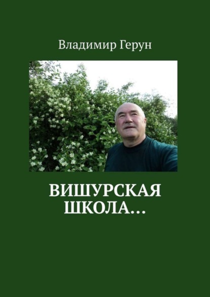 Скачать книгу Вишурская школа…