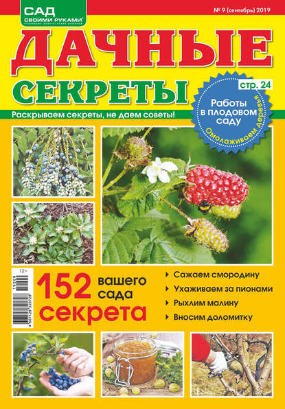 Скачать книгу Дачные секреты №09/2019