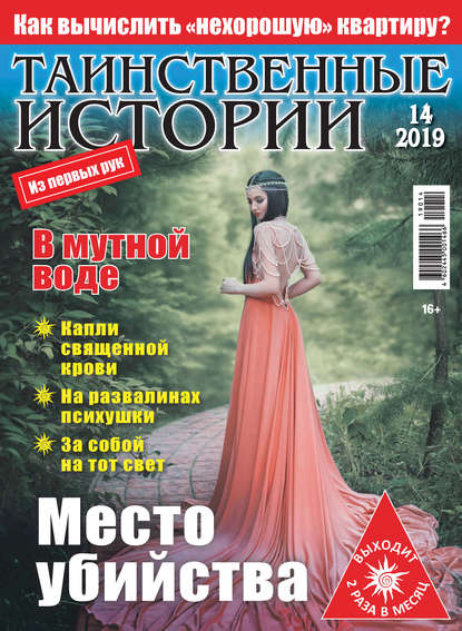 Скачать книгу Таинственные истории №14/2019