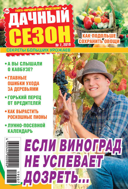 Скачать книгу Дачный сезон №07/2019