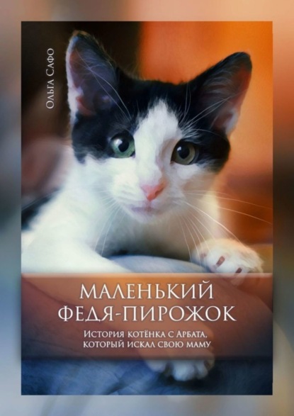 Скачать книгу Маленький Федя-Пирожок. История котёнка с Арбата, который искал свою маму