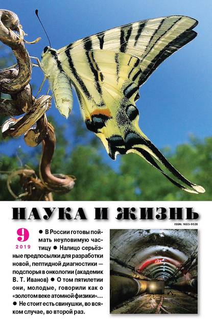 Скачать книгу Наука и жизнь №09/2019