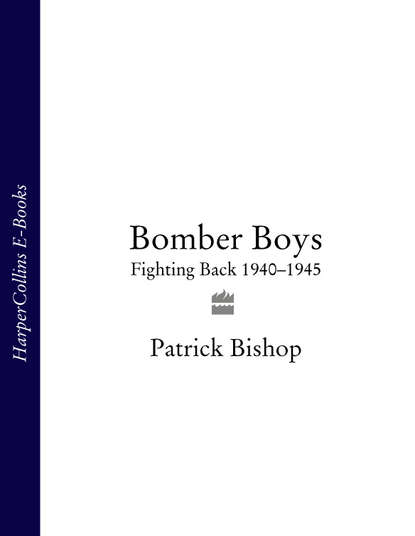 Скачать книгу Bomber Boys